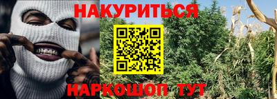 альфа пвп Новодвинск