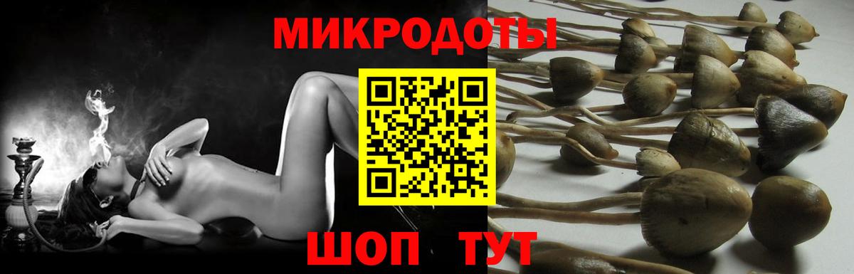 Сергиев Посад  Галлюциногенные грибы мухоморы  Вход с VPN 